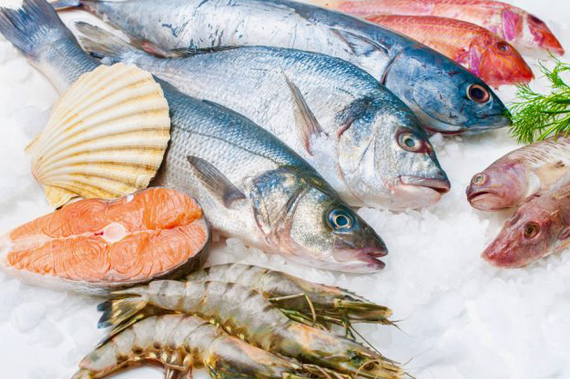 Proje Çalışmalarımız